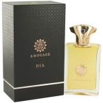 Amouage Dia EDP 100ml For Men