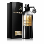 Montale Oudmazing EDP 100ml Unisex Perfume